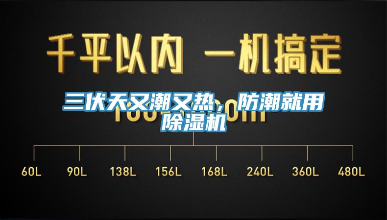 三伏天又潮又熱，防潮就用除濕機(jī)