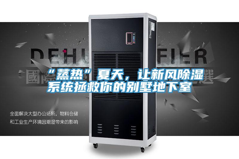 “蒸熱”夏天，讓新風(fēng)除濕系統(tǒng)拯救你的別墅地下室
