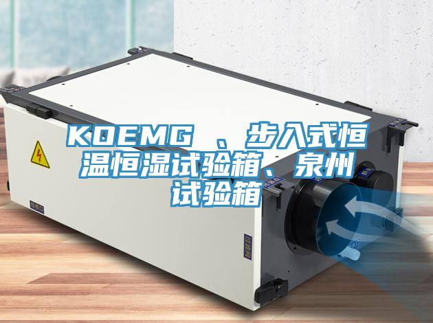 KOEMG 、步入式恒溫恒濕試驗箱、泉州試驗箱