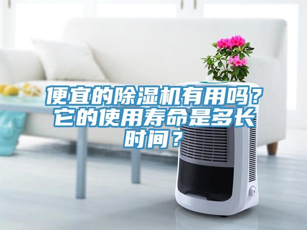 便宜的除濕機(jī)有用嗎？它的使用壽命是多長(zhǎng)時(shí)間？