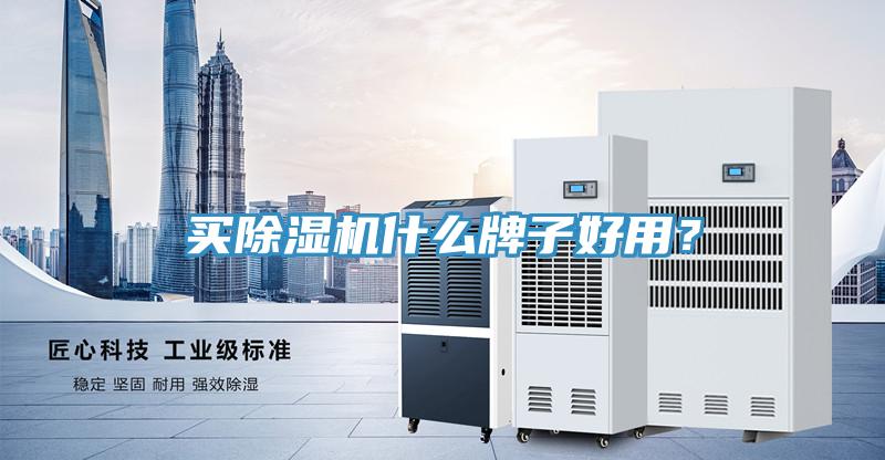 買(mǎi)除濕機(jī)什么牌子好用？