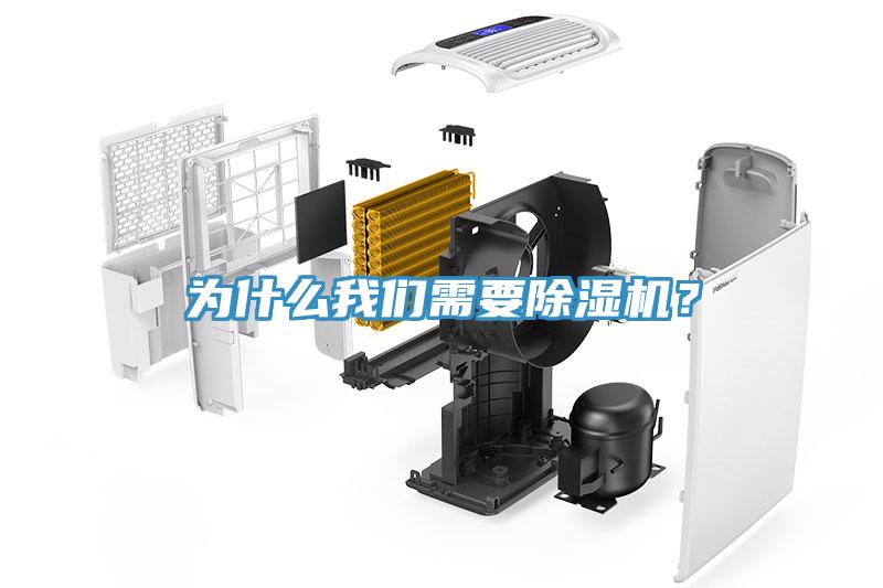 為什么我們需要除濕機？