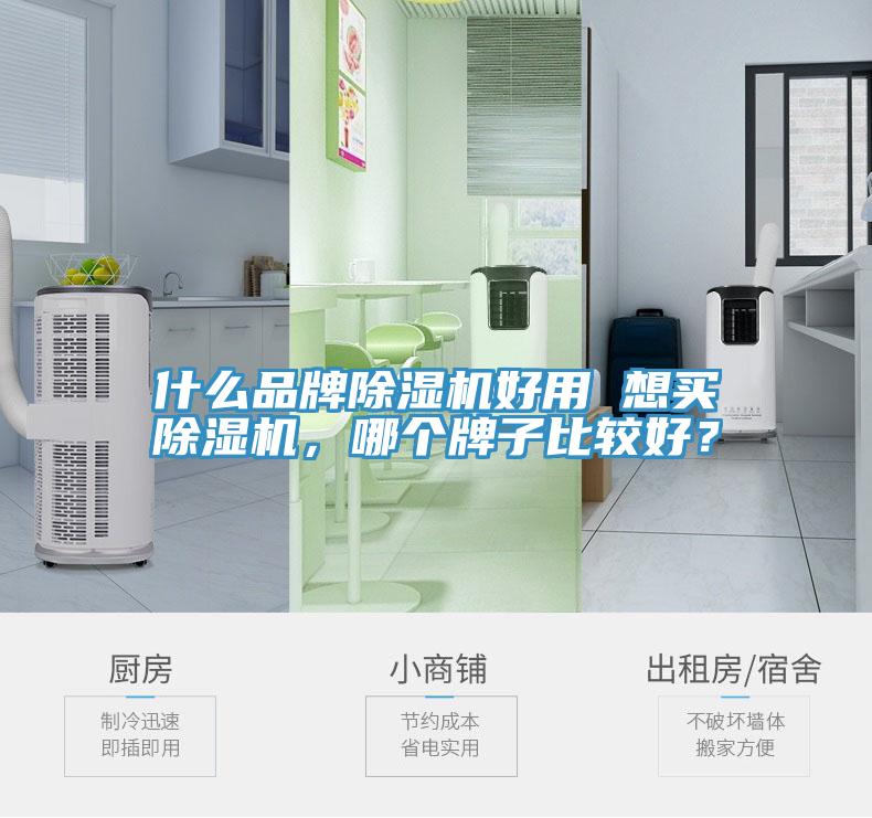 什么品牌除濕機好用 想買除濕機，哪個牌子比較好？