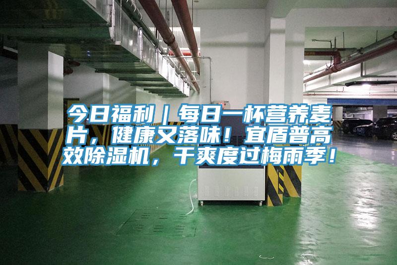 今日福利｜每日一杯營養(yǎng)麥片，健康又落味！宜盾普高效除濕機，干爽度過梅雨季！