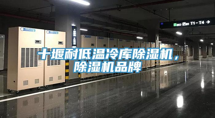 十堰耐低溫冷庫除濕機(jī)，除濕機(jī)品牌
