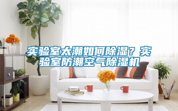 實(shí)驗(yàn)室太潮如何除濕？實(shí)驗(yàn)室防潮空氣除濕機(jī)