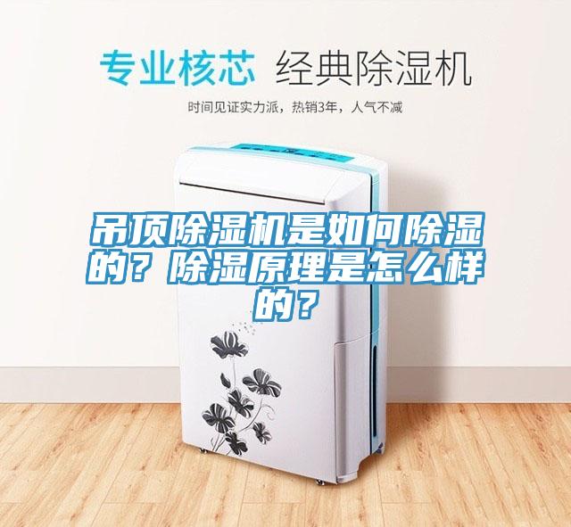 吊頂除濕機(jī)是如何除濕的？除濕原理是怎么樣的？