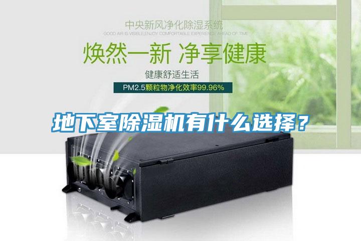 地下室除濕機有什么選擇？