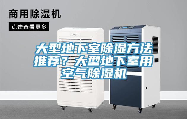 大型地下室除濕方法推薦？大型地下室用空氣除濕機