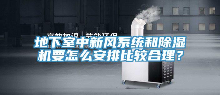 地下室中新風(fēng)系統(tǒng)和除濕機(jī)要怎么安排比較合理？