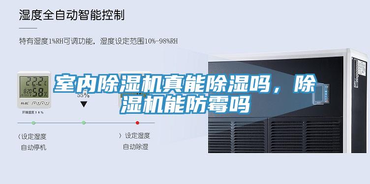 室內(nèi)除濕機真能除濕嗎，除濕機能防霉嗎