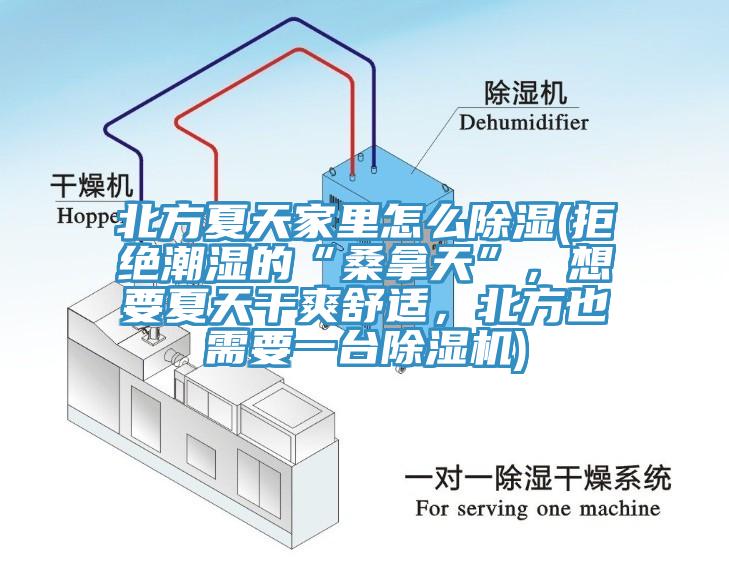 北方夏天家里怎么除濕(拒絕潮濕的“桑拿天”，想要夏天干爽舒適，北方也需要一臺除濕機(jī))