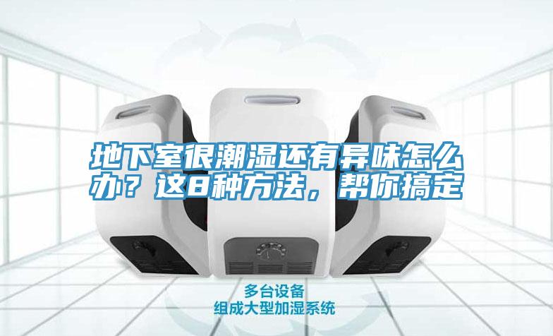 地下室很潮濕還有異味怎么辦？這8種方法，幫你搞定