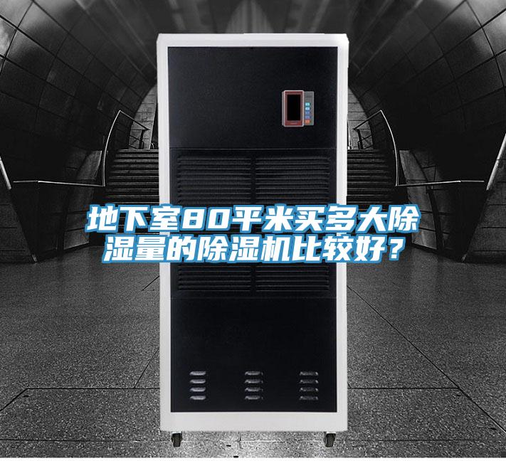 地下室80平米買多大除濕量的除濕機比較好？