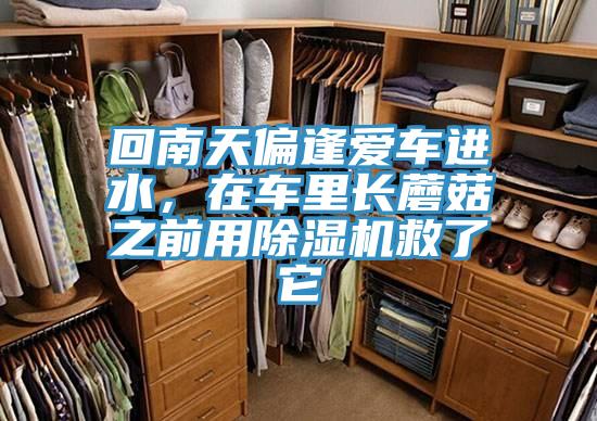回南天偏逢愛車進水，在車里長蘑菇之前用除濕機救了它