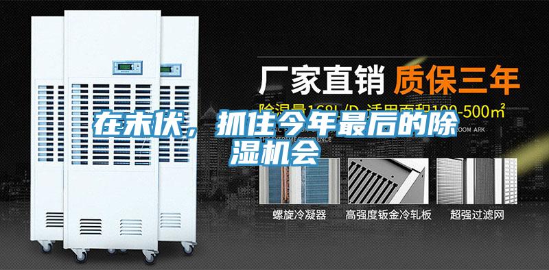 在末伏，抓住今年最后的除濕機(jī)會(huì)