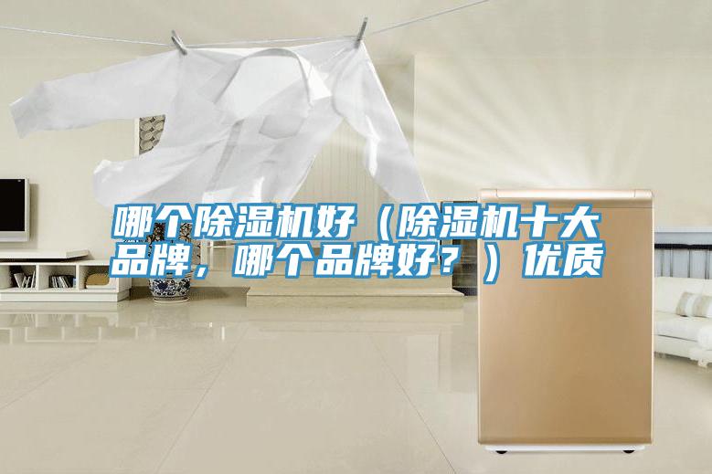 哪個(gè)除濕機(jī)好（除濕機(jī)十大品牌，哪個(gè)品牌好？）優(yōu)質(zhì)