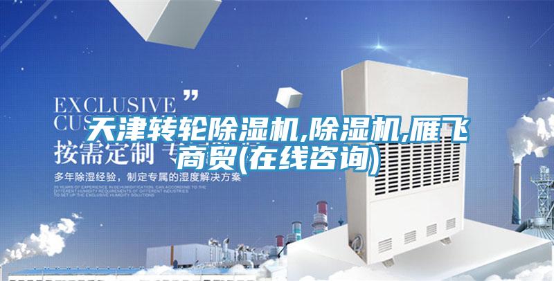 天津轉輪除濕機,除濕機,雁飛商貿(mào)(在線咨詢)