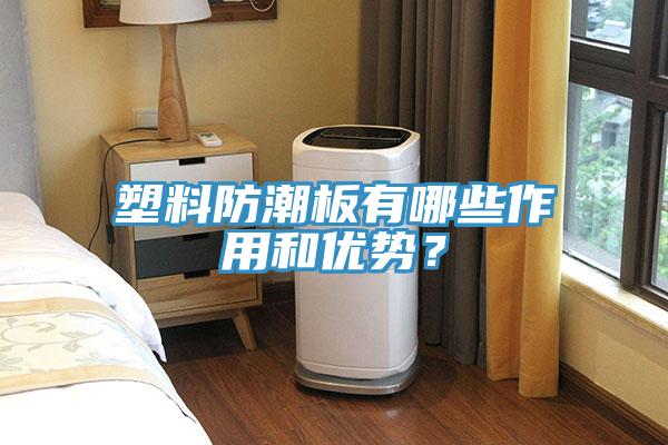 塑料防潮板有哪些作用和優(yōu)勢？