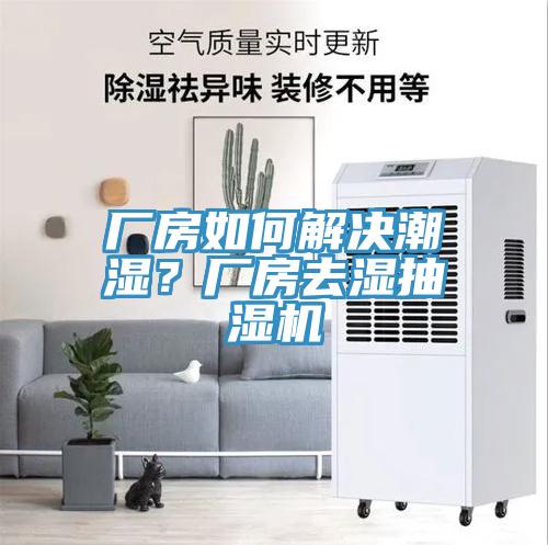 廠房如何解決潮濕？廠房去濕抽濕機