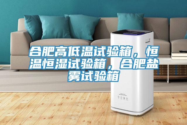 合肥高低溫試驗箱，恒溫恒濕試驗箱，合肥鹽霧試驗箱