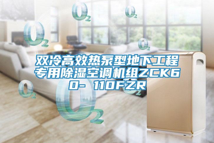 雙冷高效熱泵型地下工程專(zhuān)用除濕空調(diào)機(jī)組ZCK60- 110FZR