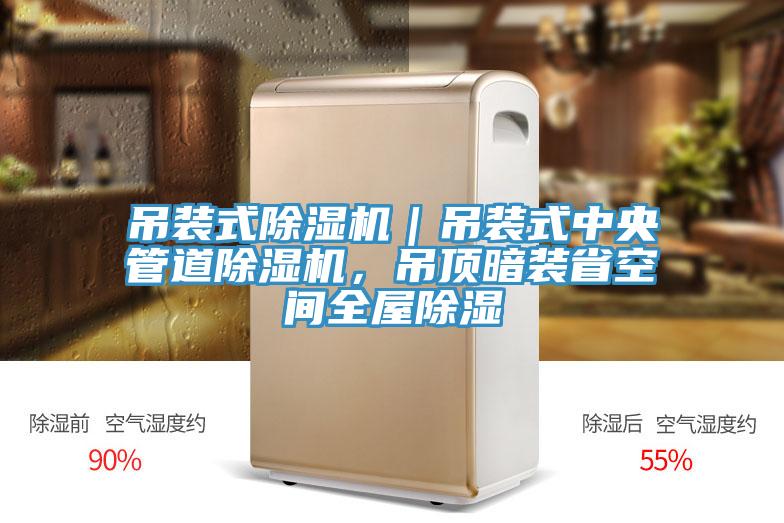 吊裝式除濕機｜吊裝式中央管道除濕機，吊頂暗裝省空間全屋除濕