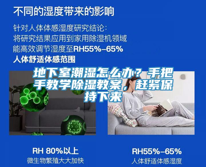 地下室潮濕怎么辦？手把手教學除濕教案，趕緊保持下來