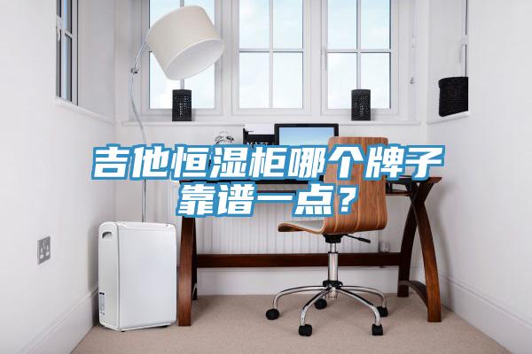 吉他恒濕柜哪個牌子靠譜一點？