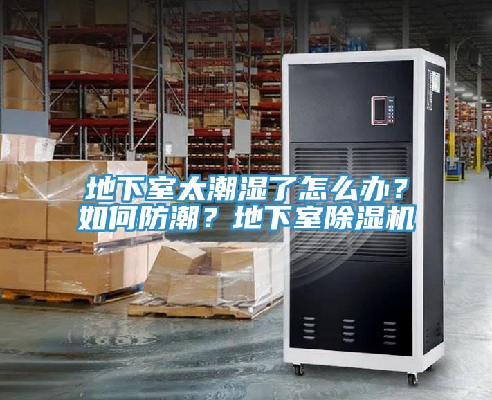 地下室太潮濕了怎么辦？如何防潮？地下室除濕機