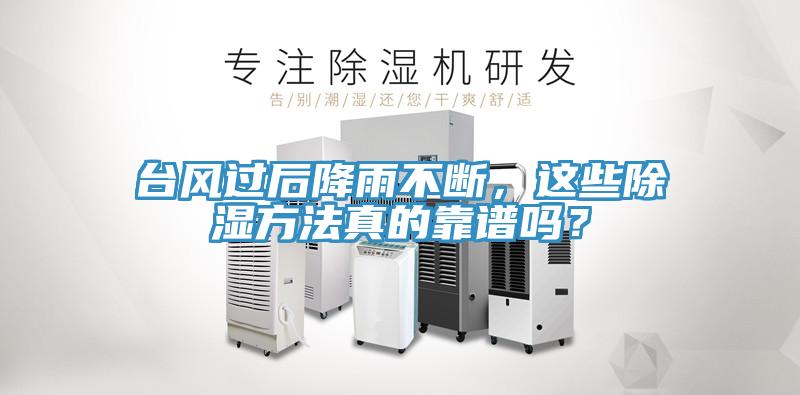 臺風過后降雨不斷，這些除濕方法真的靠譜嗎？
