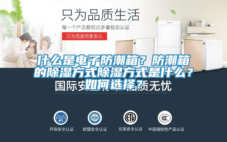什么是電子防潮箱？防潮箱的除濕方式除濕方式是什么？如何選擇？