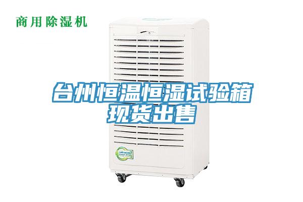 臺(tái)州恒溫恒濕試驗(yàn)箱現(xiàn)貨出售