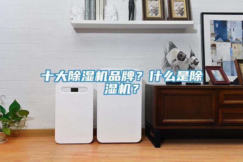 十大除濕機品牌？什么是除濕機？