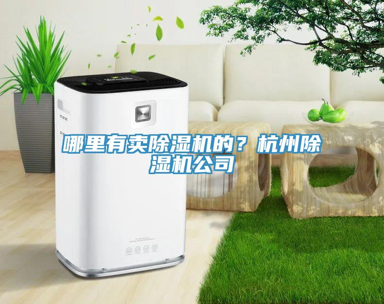 哪里有賣除濕機(jī)的？杭州除濕機(jī)公司