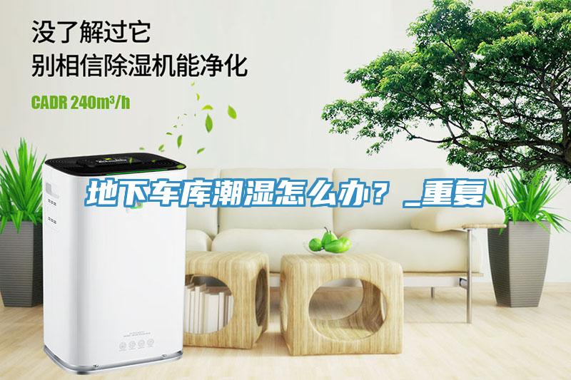 地下車(chē)庫(kù)潮濕怎么辦？_重復(fù)