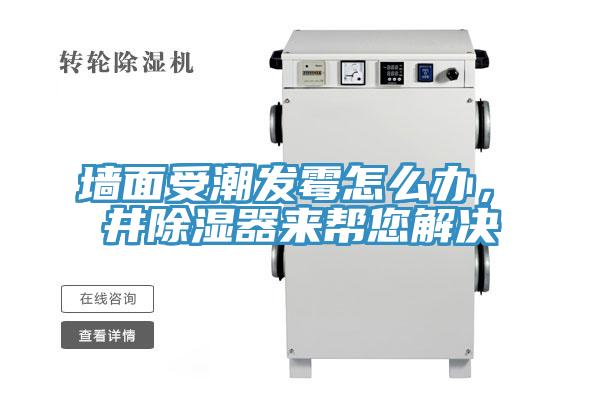 墻面受潮發(fā)霉怎么辦，東井除濕器來幫您解決