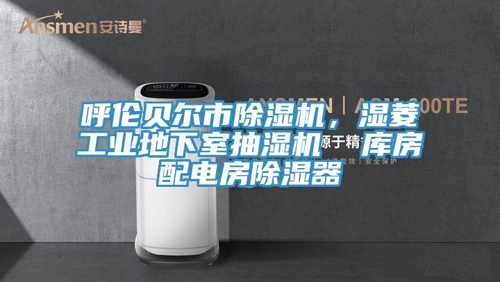 呼倫貝爾市除濕機，濕菱工業(yè)地下室抽濕機  庫房配電房除濕器