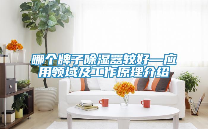 哪個牌子除濕器較好—應用領(lǐng)域及工作原理介紹