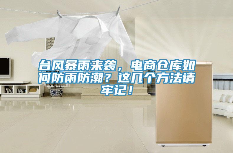 臺(tái)風(fēng)暴雨來(lái)襲，電商倉(cāng)庫(kù)如何防雨防潮？這幾個(gè)方法請(qǐng)牢記！