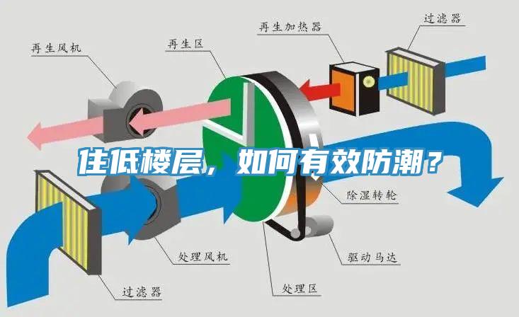 住低樓層，如何有效防潮？