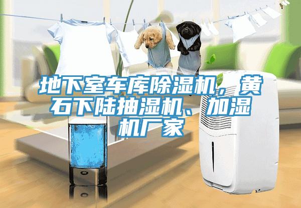 地下室車庫除濕機，黃石下陸抽濕機、加濕機廠家