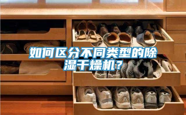 如何區(qū)分不同類型的除濕干燥機？