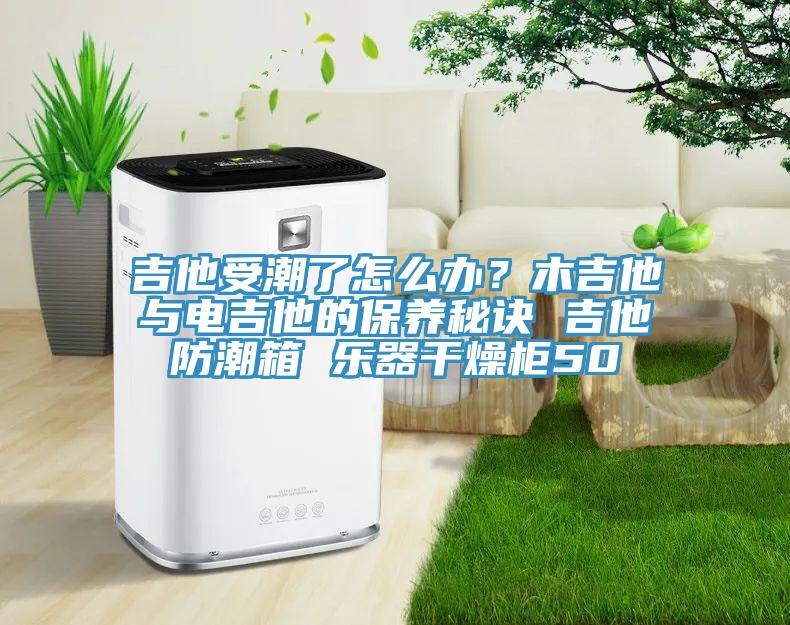 吉他受潮了怎么辦？木吉他與電吉他的保養(yǎng)秘訣 吉他防潮箱 樂(lè)器干燥柜50