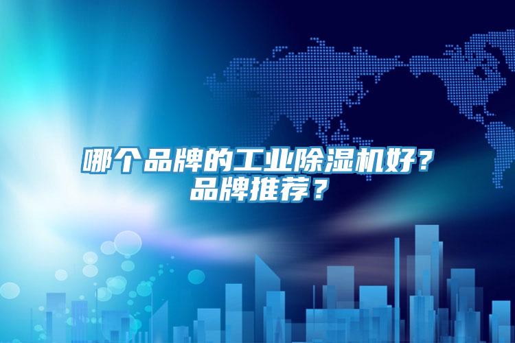 哪個(gè)品牌的工業(yè)除濕機(jī)好？品牌推薦？