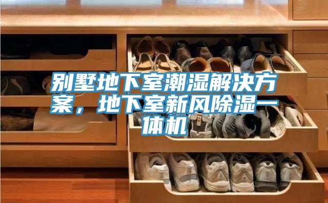 別墅地下室潮濕解決方案，地下室新風(fēng)除濕一體機