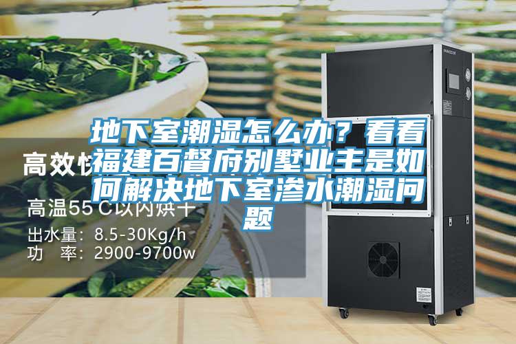 地下室潮濕怎么辦？看看福建百督府別墅業(yè)主是如何解決地下室滲水潮濕問題
