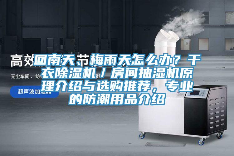 回南天、梅雨天怎么辦？干衣除濕機／房間抽濕機原理介紹與選購?fù)扑]，專業(yè)的防潮用品介紹