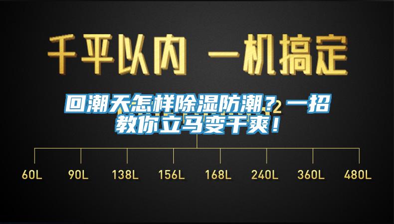 回潮天怎樣除濕防潮？一招教你立馬變干爽！