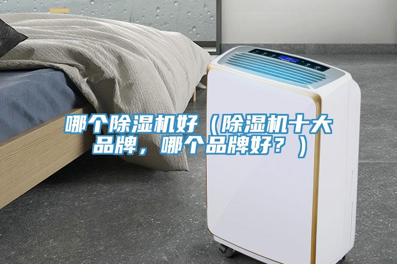 哪個(gè)除濕機(jī)好（除濕機(jī)十大品牌，哪個(gè)品牌好？）